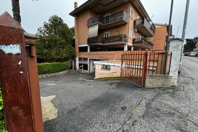 insertion image