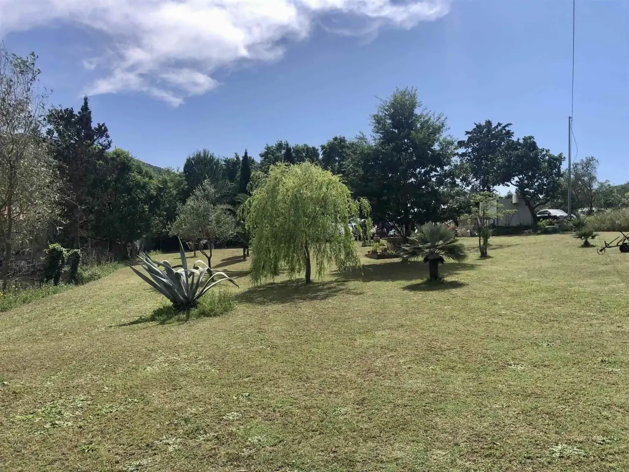 Azienda agricola in  Suvereto, Livorno, Suvereto, {3} - Foto 1