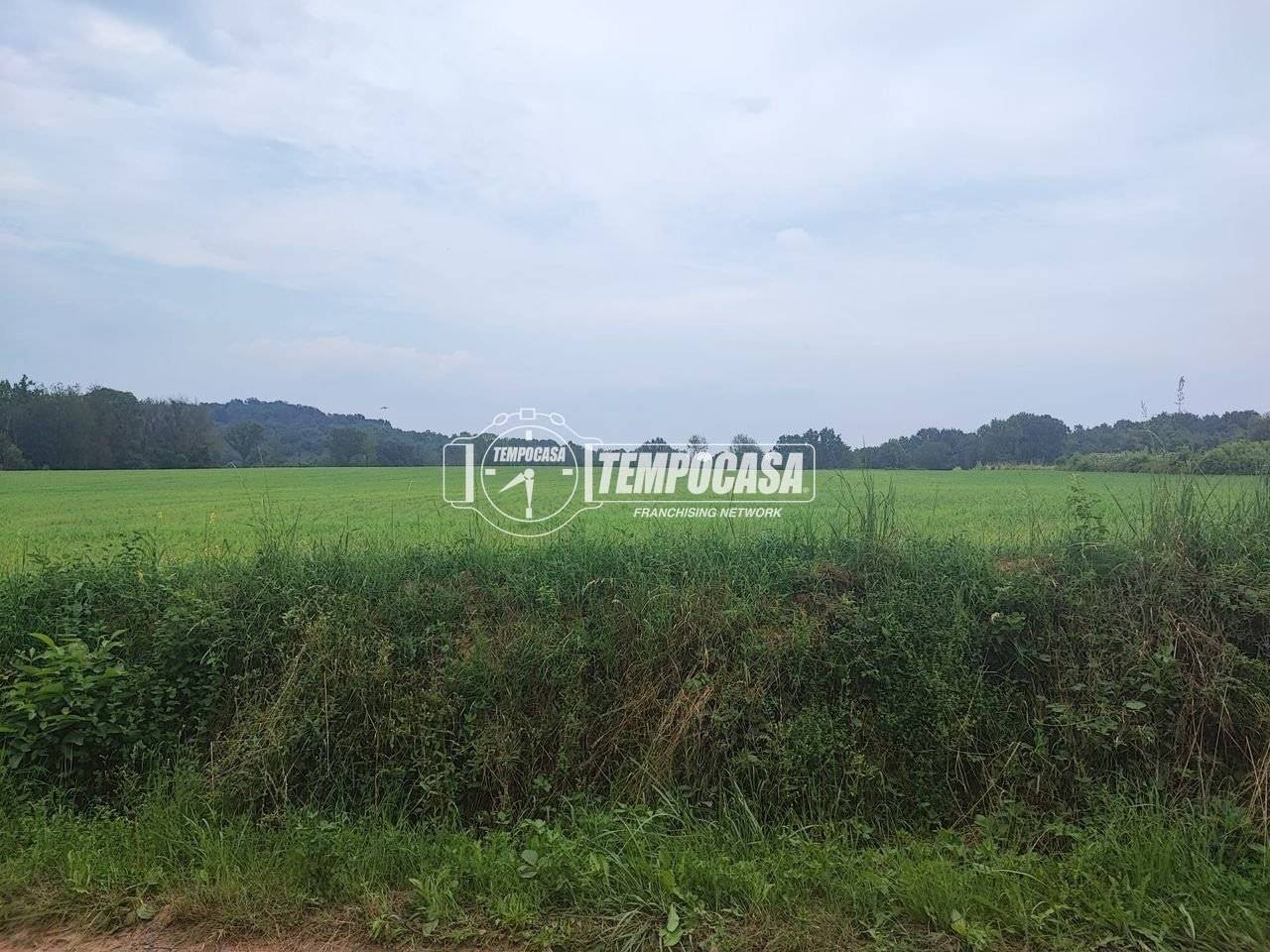 immagine annuncio 4 di 6