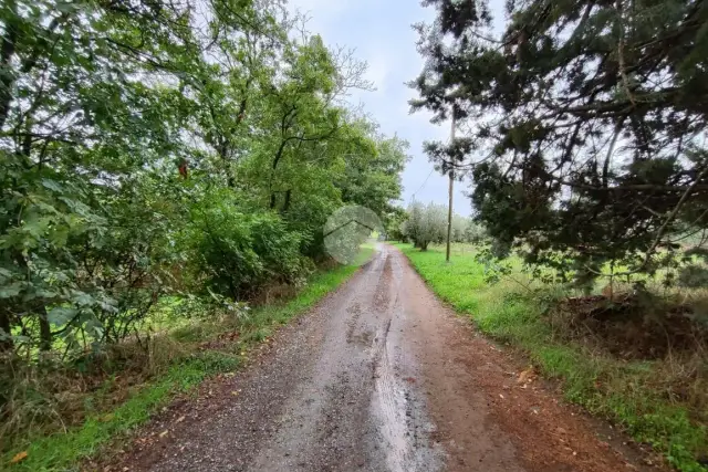 Terreno agricolo, Bolsena - Foto 1