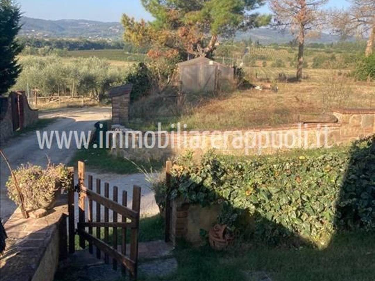 immagine annuncio 11 di 12