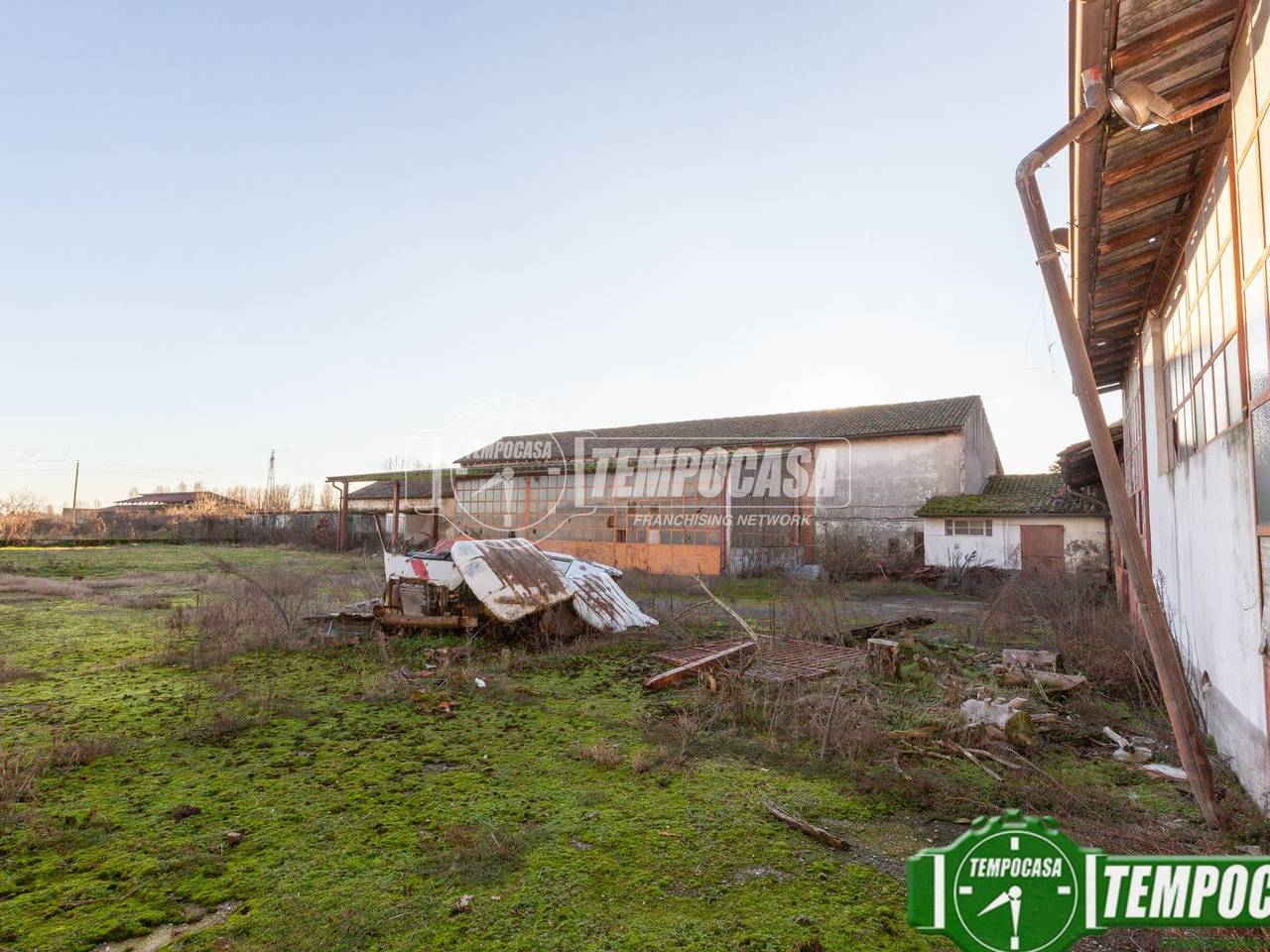 immagine annuncio 6 di 11