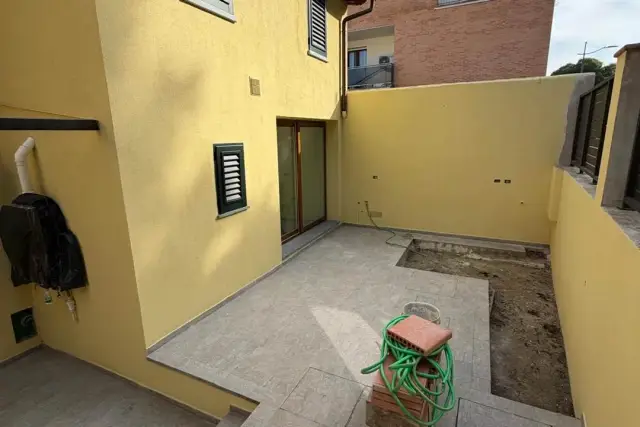 insertion image
