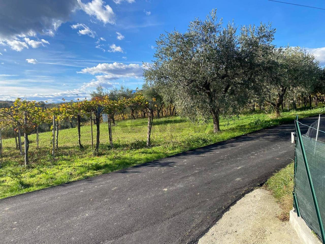 immagine annuncio 3 di 7