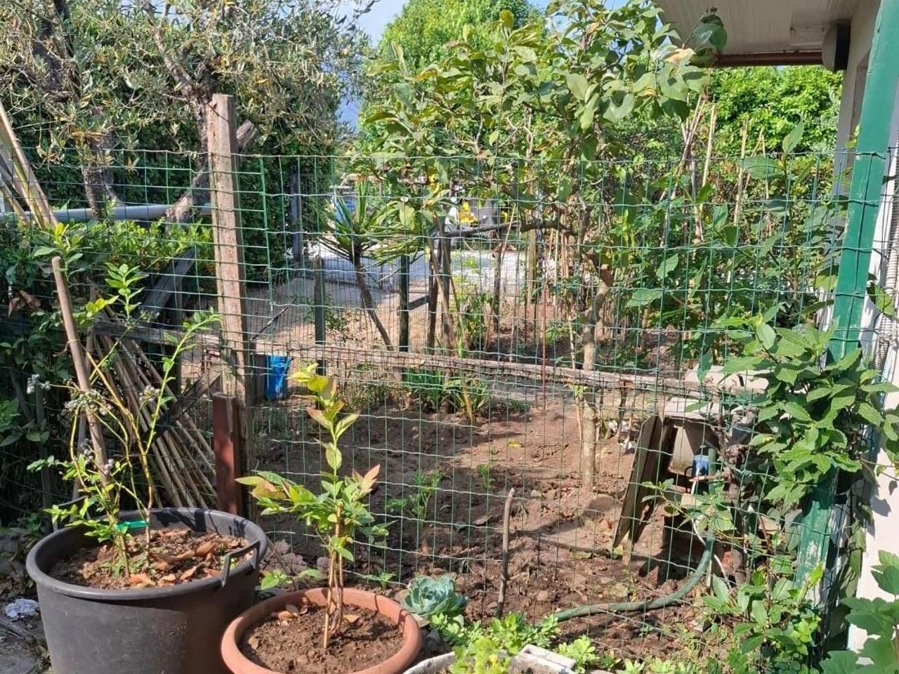 immagine annuncio 5 di 8