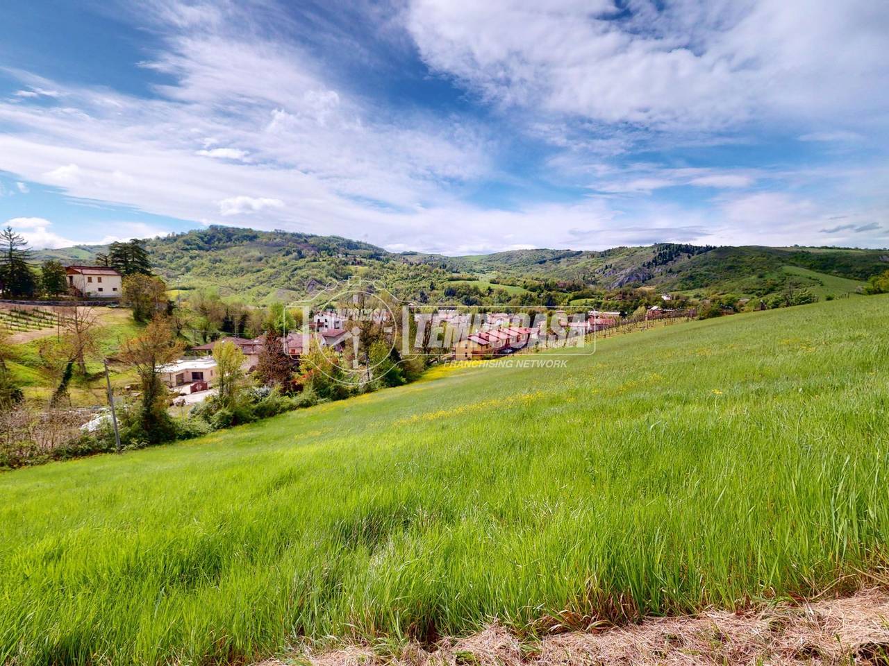 immagine annuncio 4 di 12