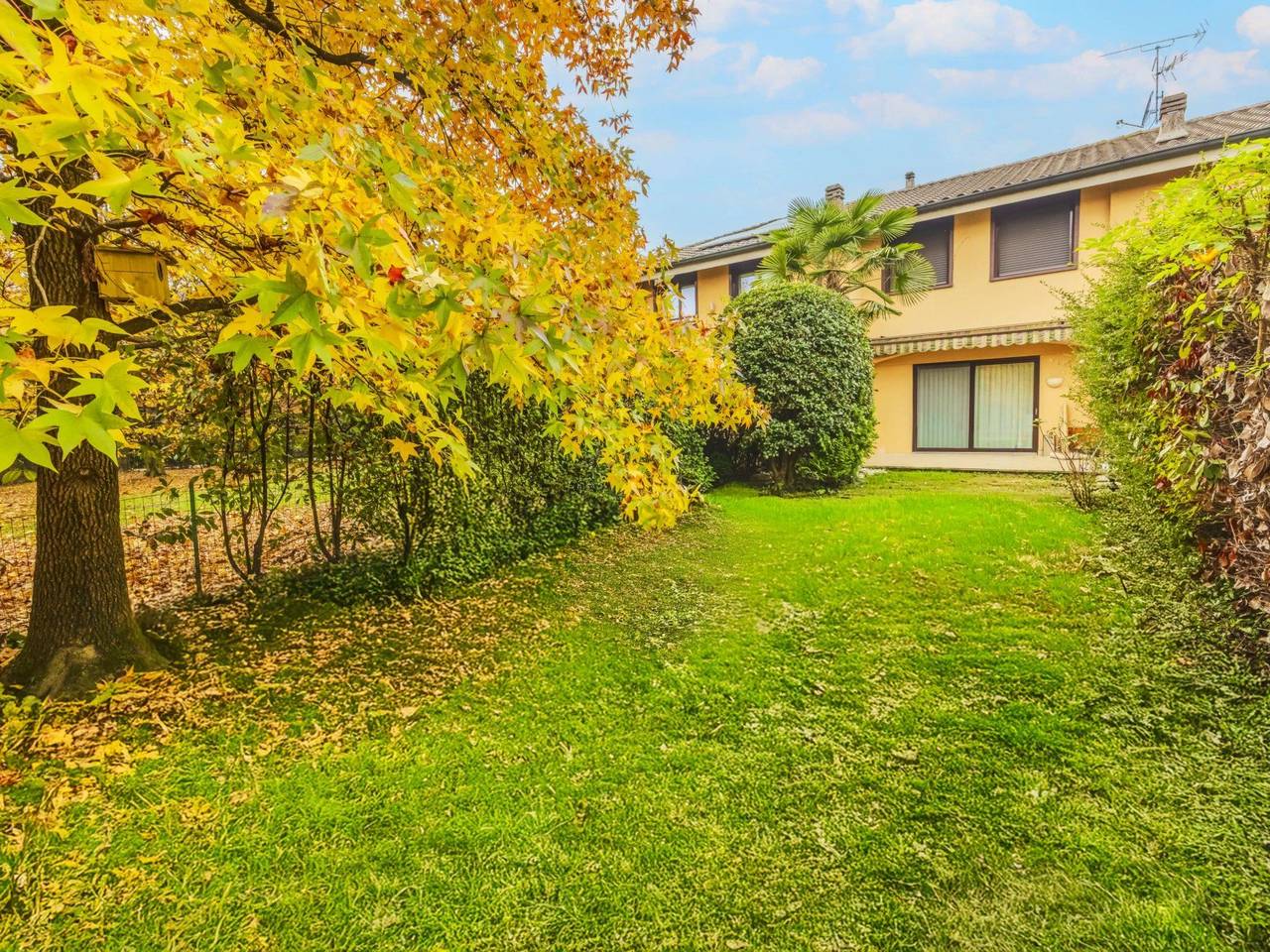 immagine annuncio 1 di 15