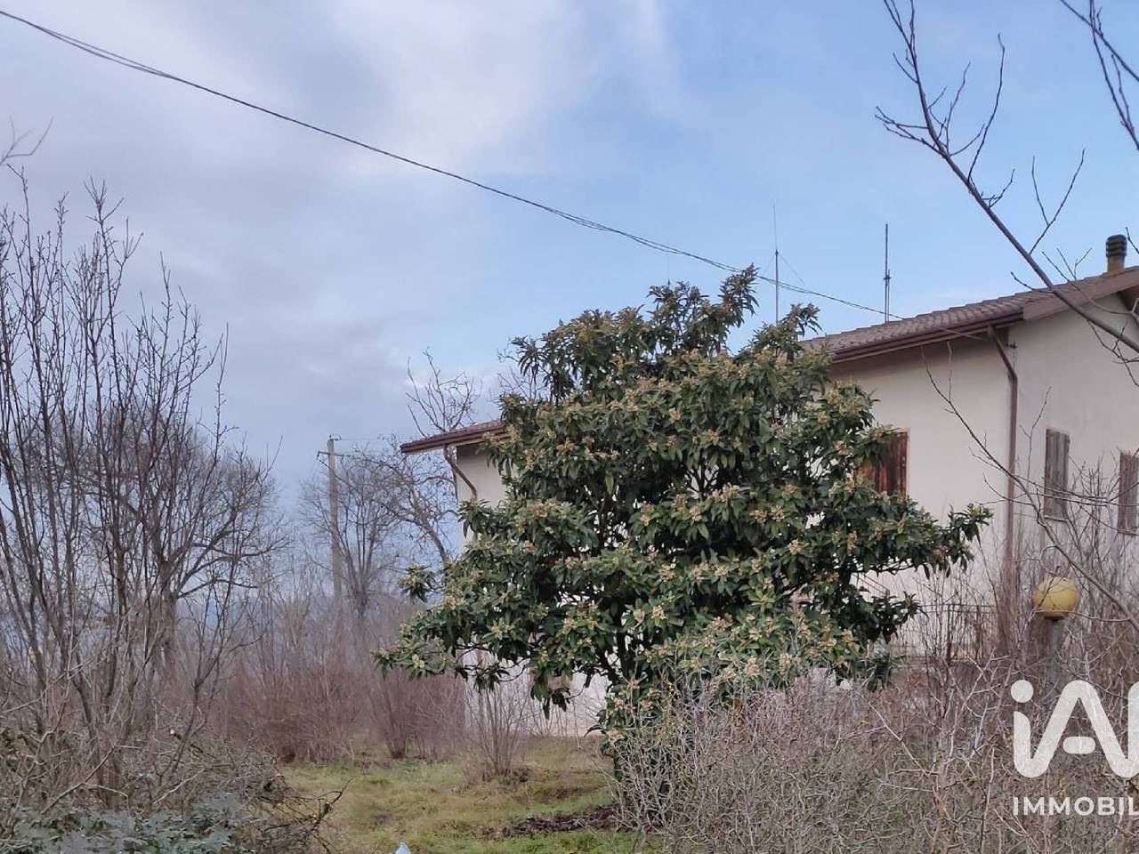 immagine annuncio 2 di 14