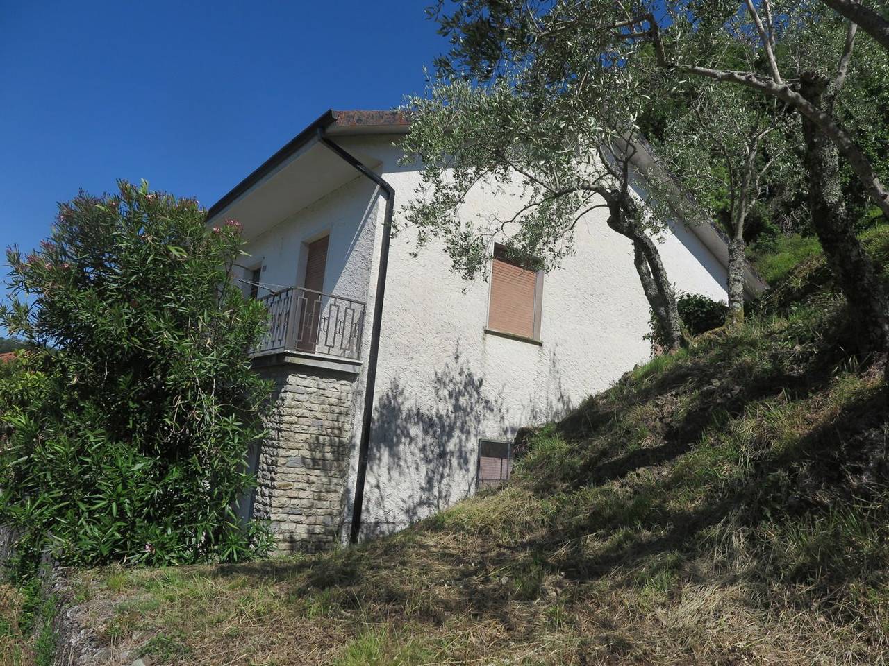 immagine annuncio 1 di 14