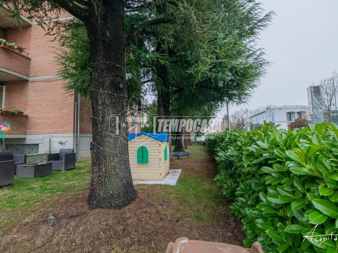 immagine annuncio 6 di 15