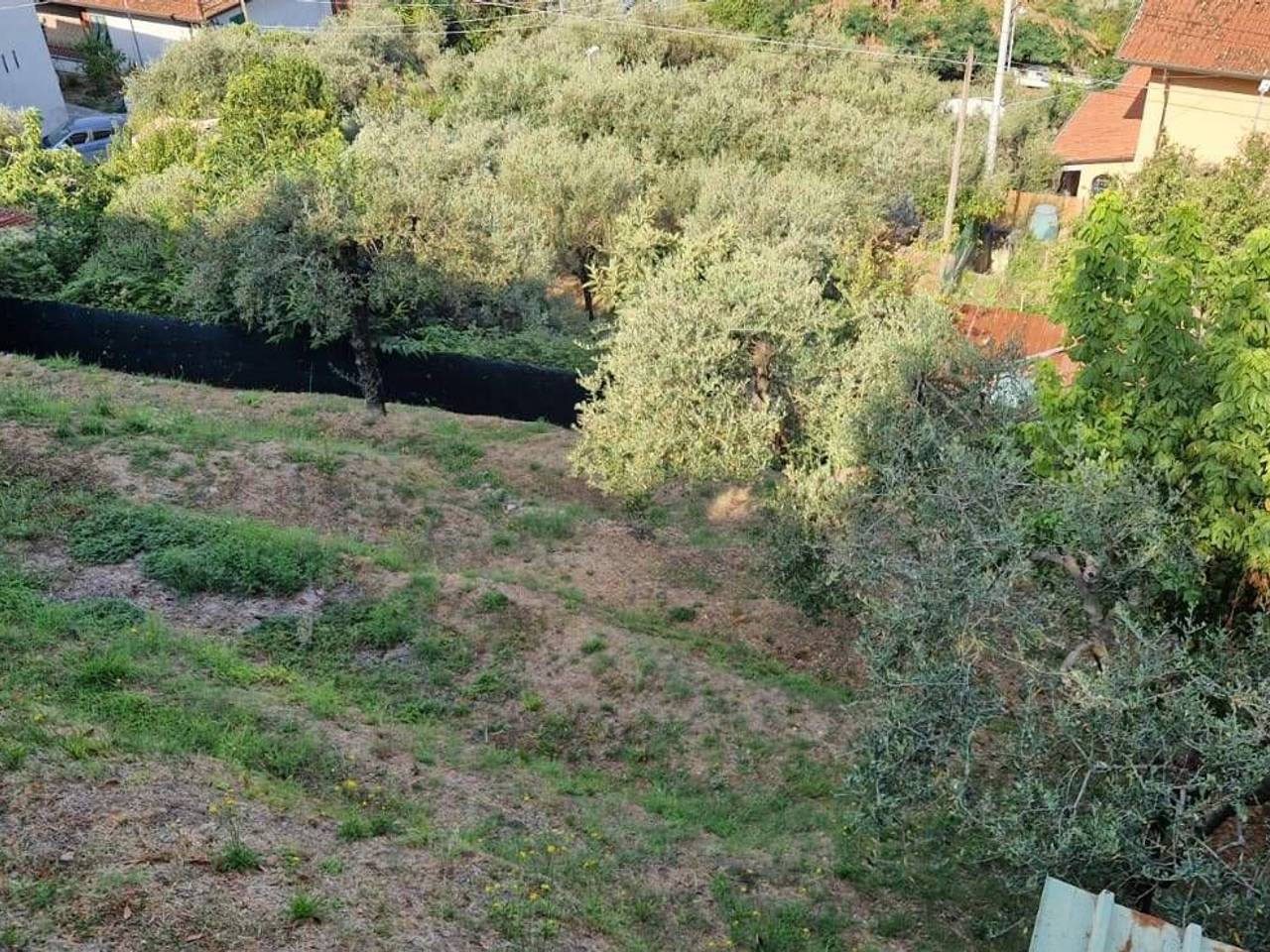 immagine annuncio 11 di 14