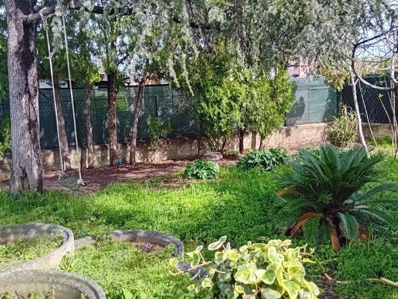 immagine annuncio 2 di 14