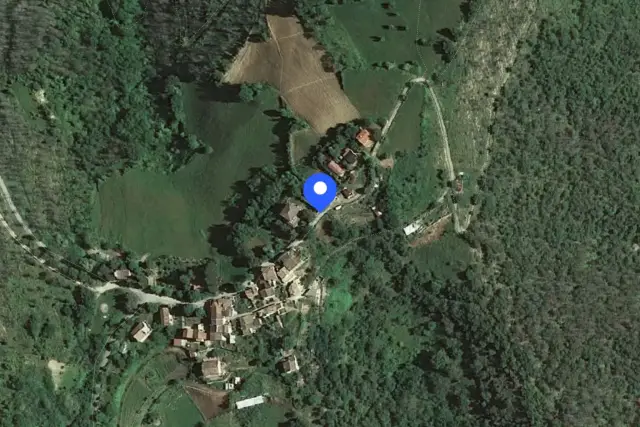 insertion image
