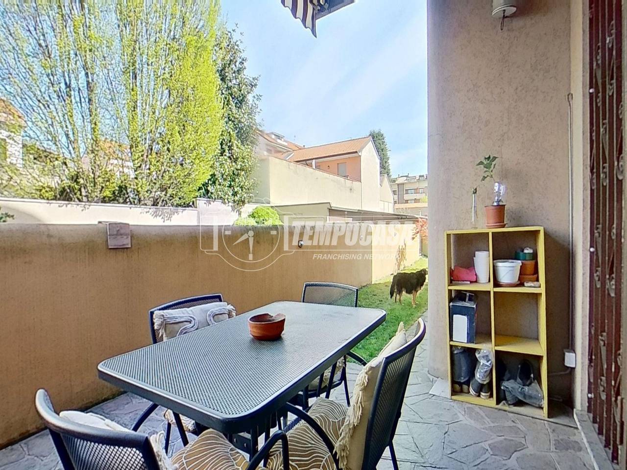 immagine annuncio 12 di 15