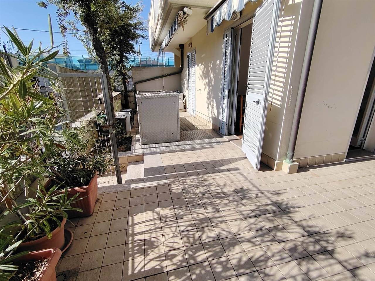 immagine annuncio 2 di 14