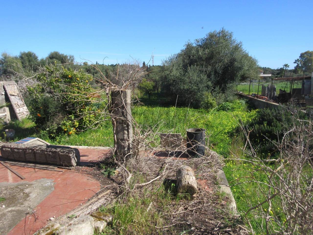 immagine annuncio 10 di 15