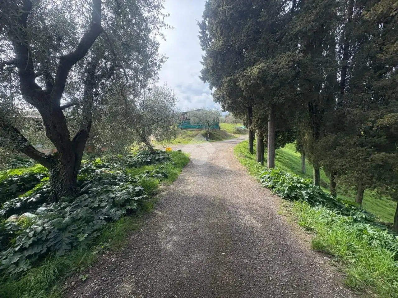 Magazzino in Localita ' San Vito 9, Figline e Incisa Valdarno, {3} - Foto 2