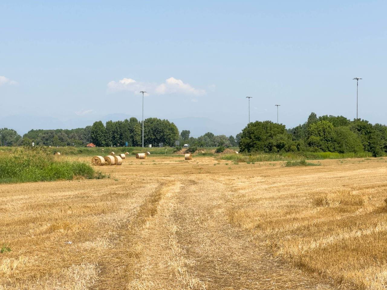 immagine annuncio 14 di 15