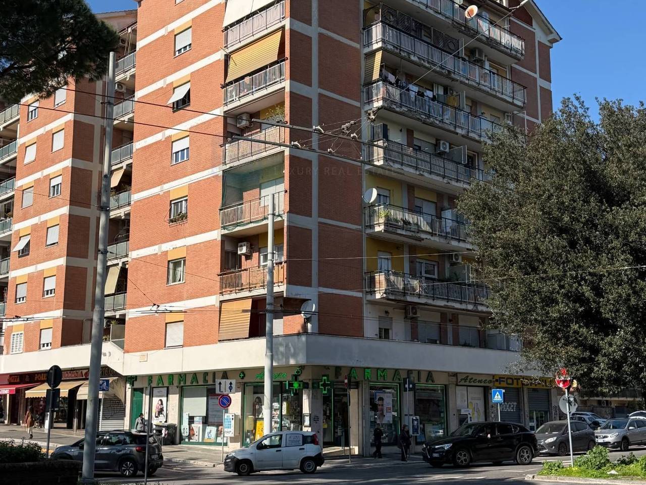 immagine annuncio 12 di 13