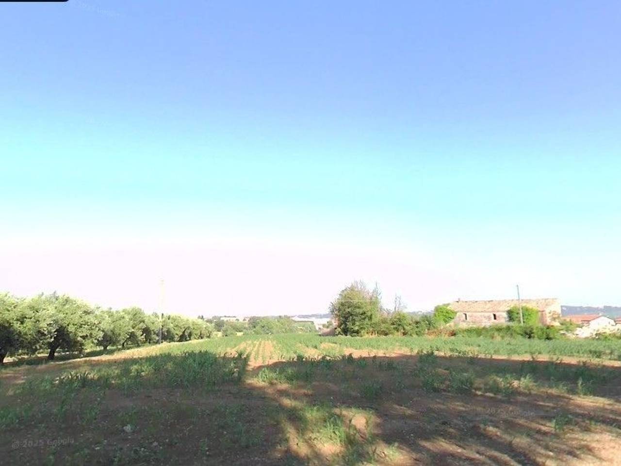 immagine annuncio 4 di 8