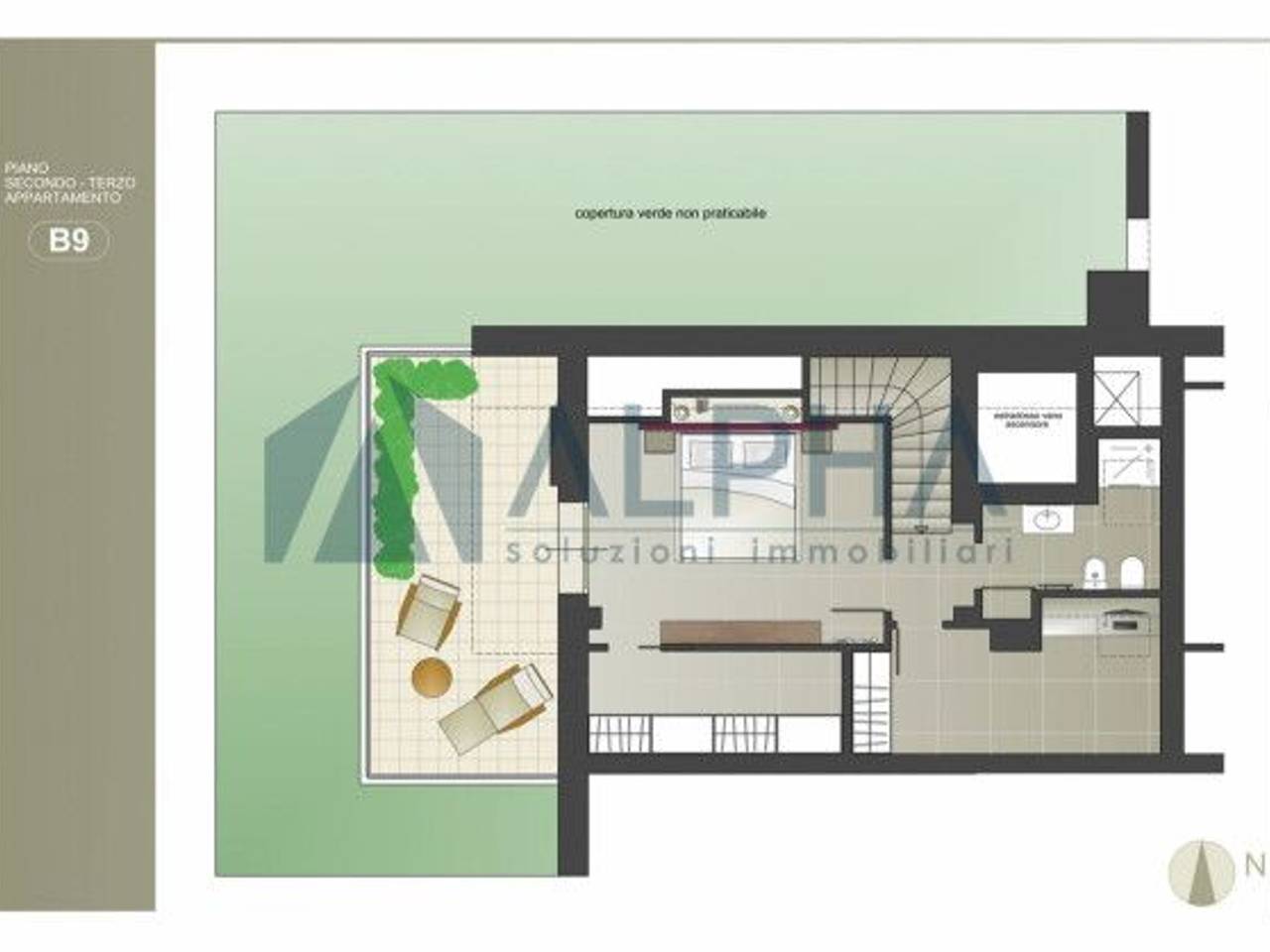 immagine annuncio 11 di 13