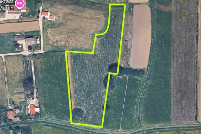 insertion image