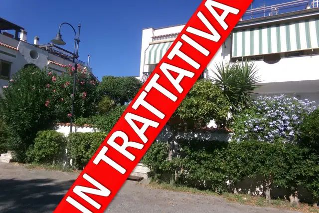 insertion image