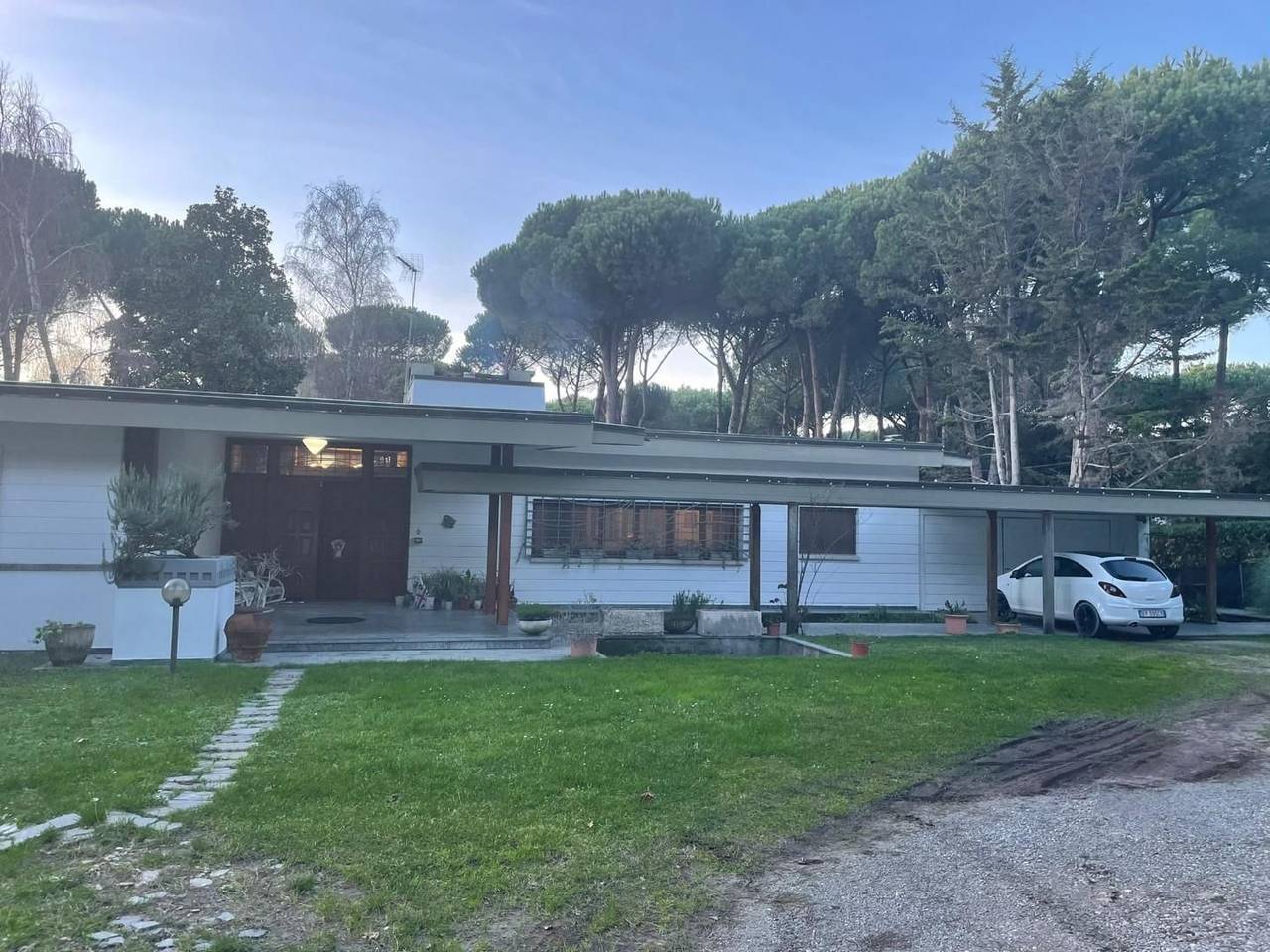 immagine annuncio 9 di 14