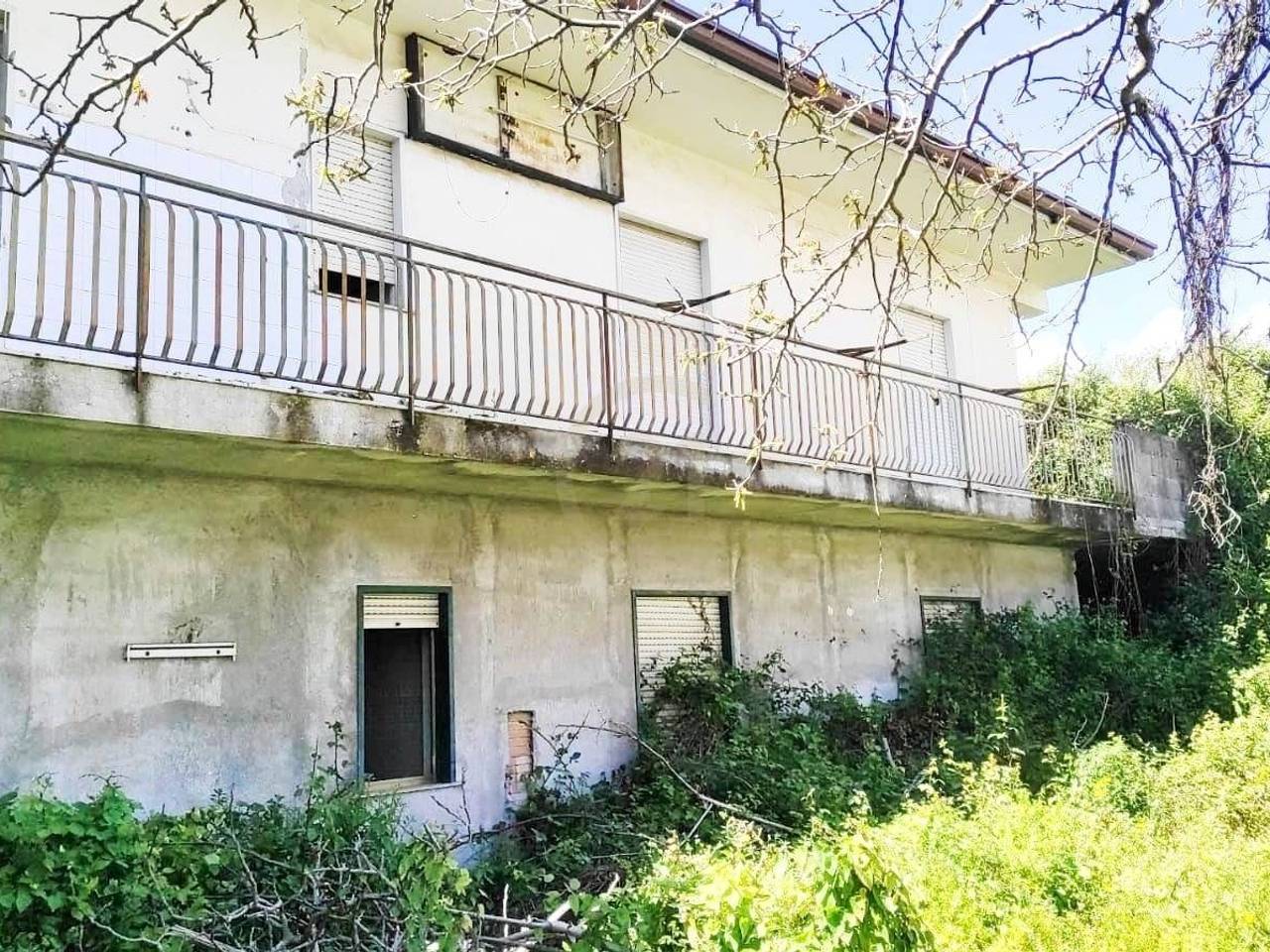 immagine annuncio 4 di 11