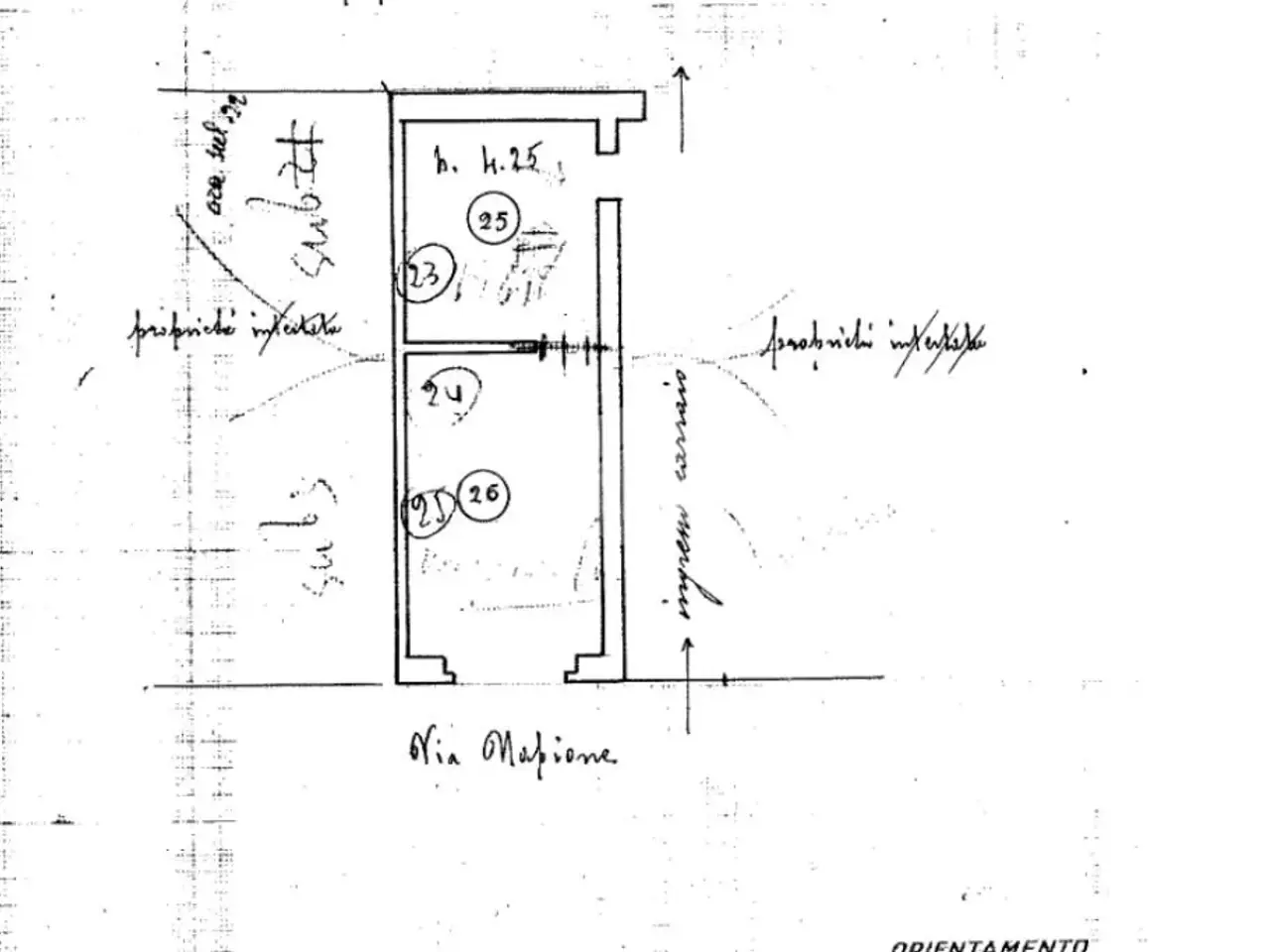 Negozio in Via Giovanni Francesco Napione 45, Torino, {3} - Planimetria 1