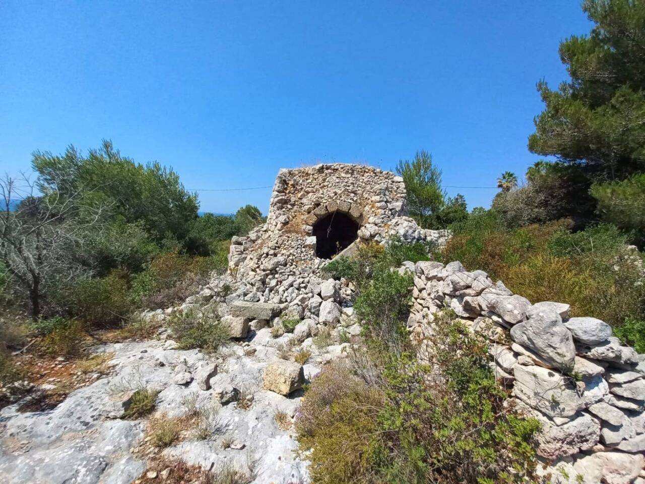 immagine annuncio 11 di 15