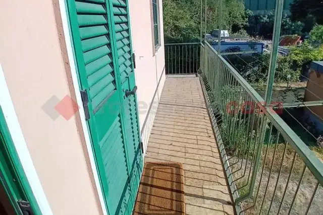 insertion image