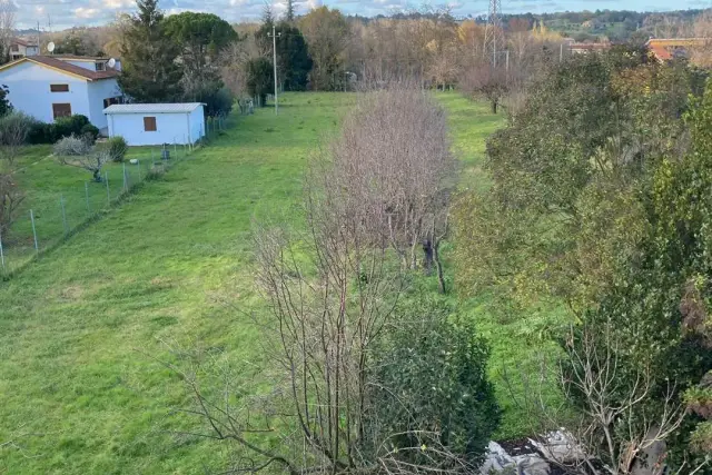 insertion image