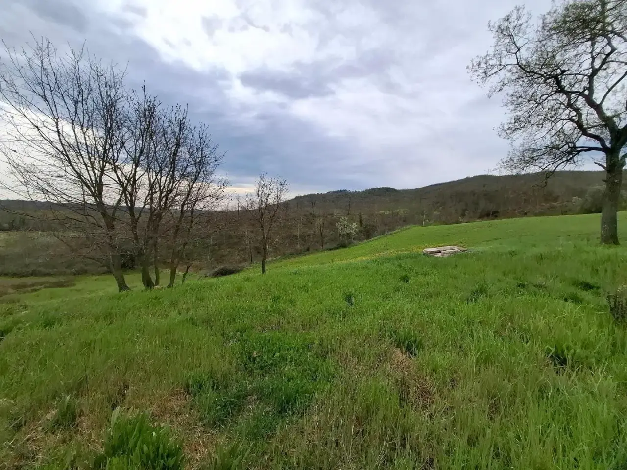 Azienda agricola in , Manciano, {3} - Foto 1