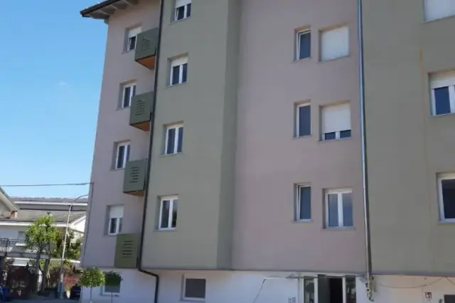 insertion image