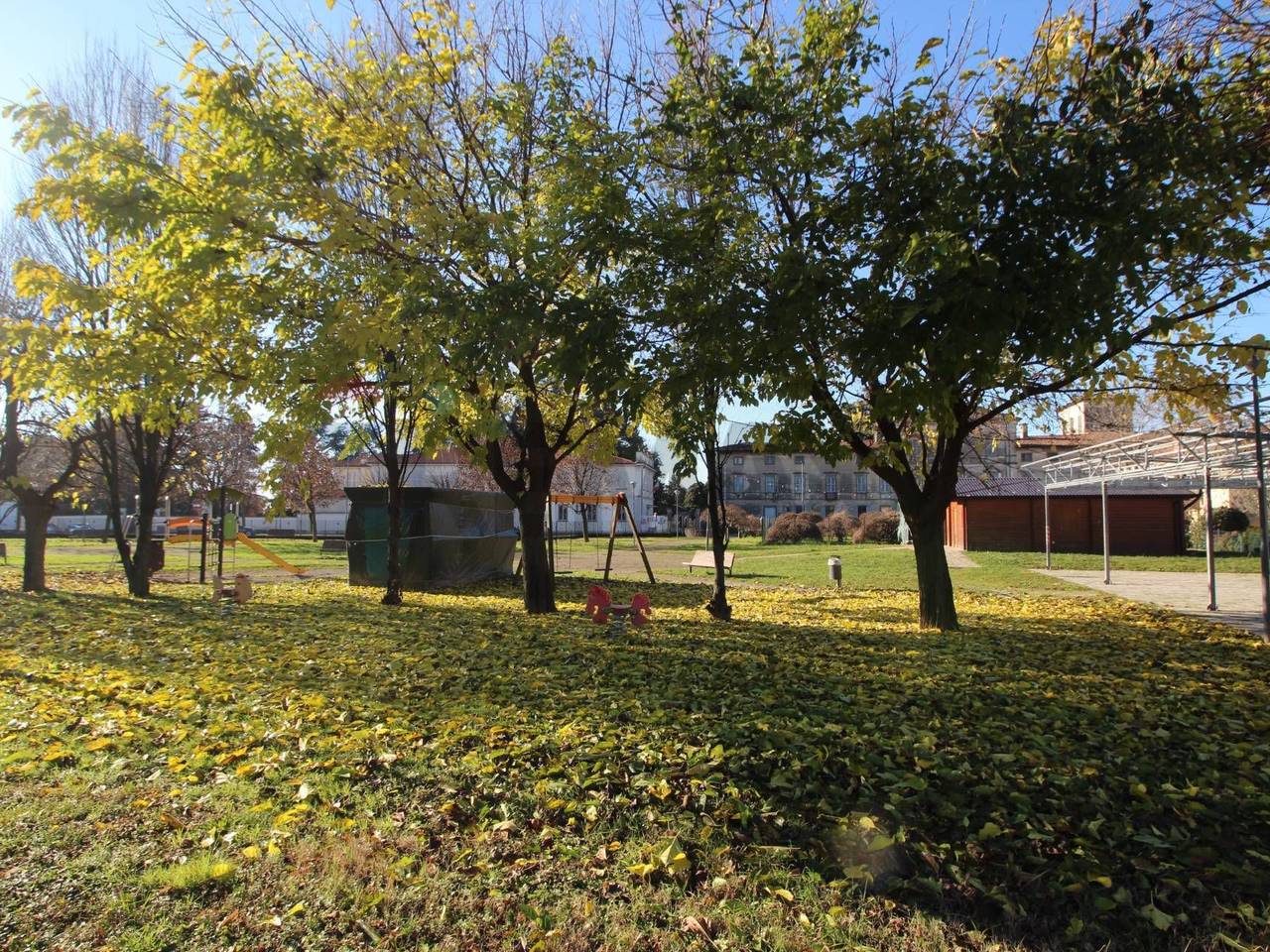 immagine annuncio 11 di 15