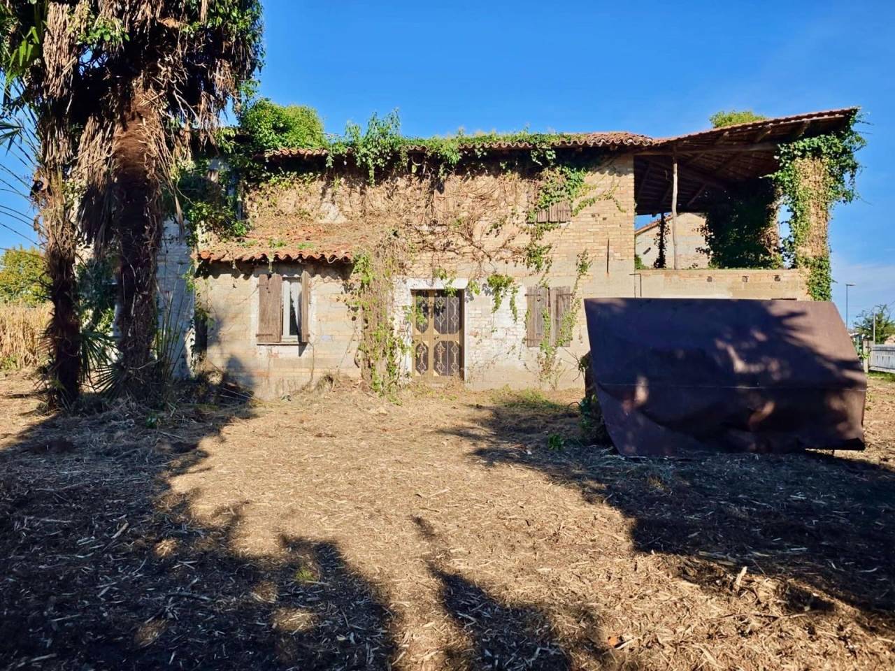 immagine annuncio 4 di 8