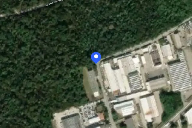 insertion image
