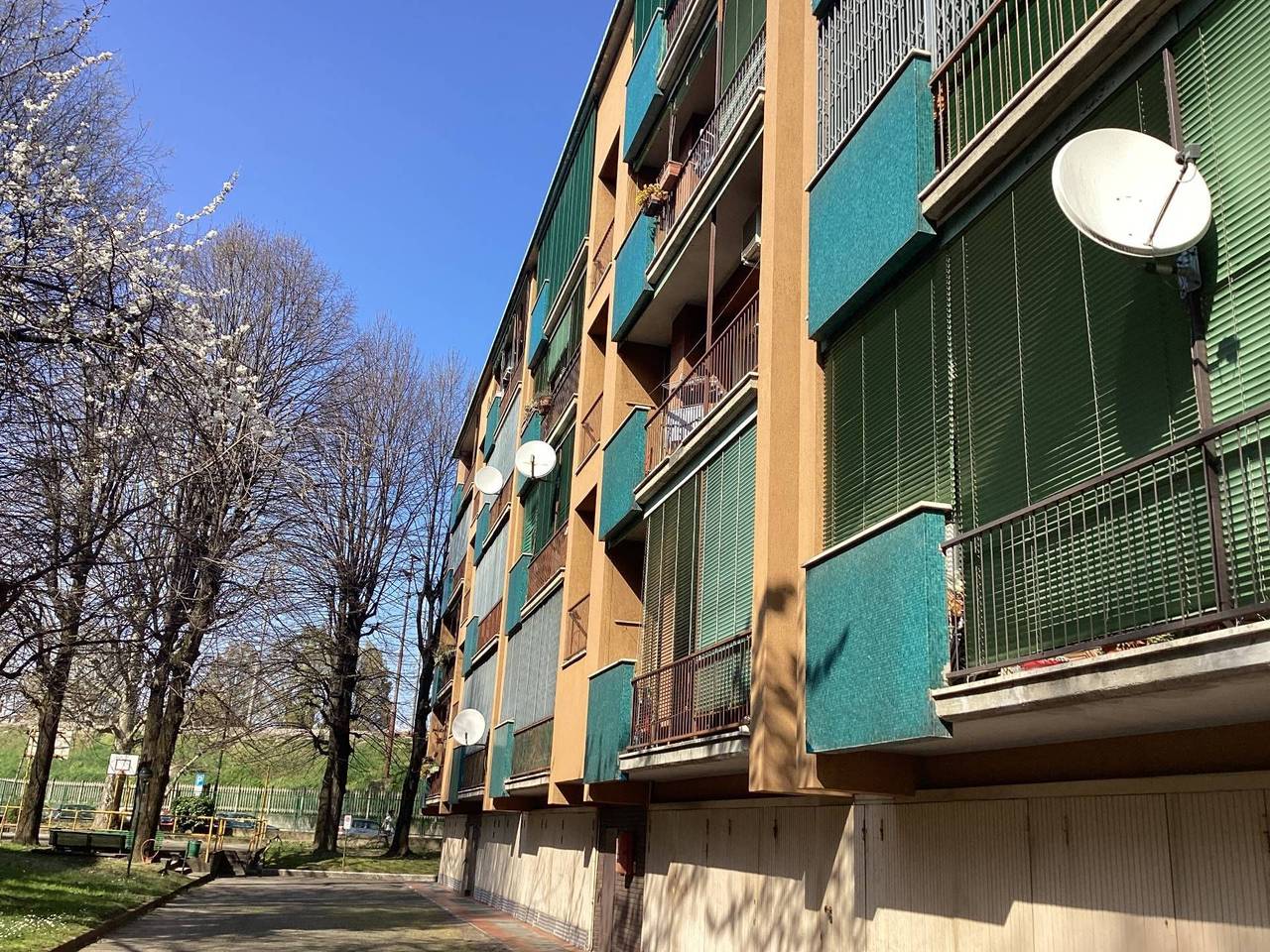 immagine annuncio 13 di 15