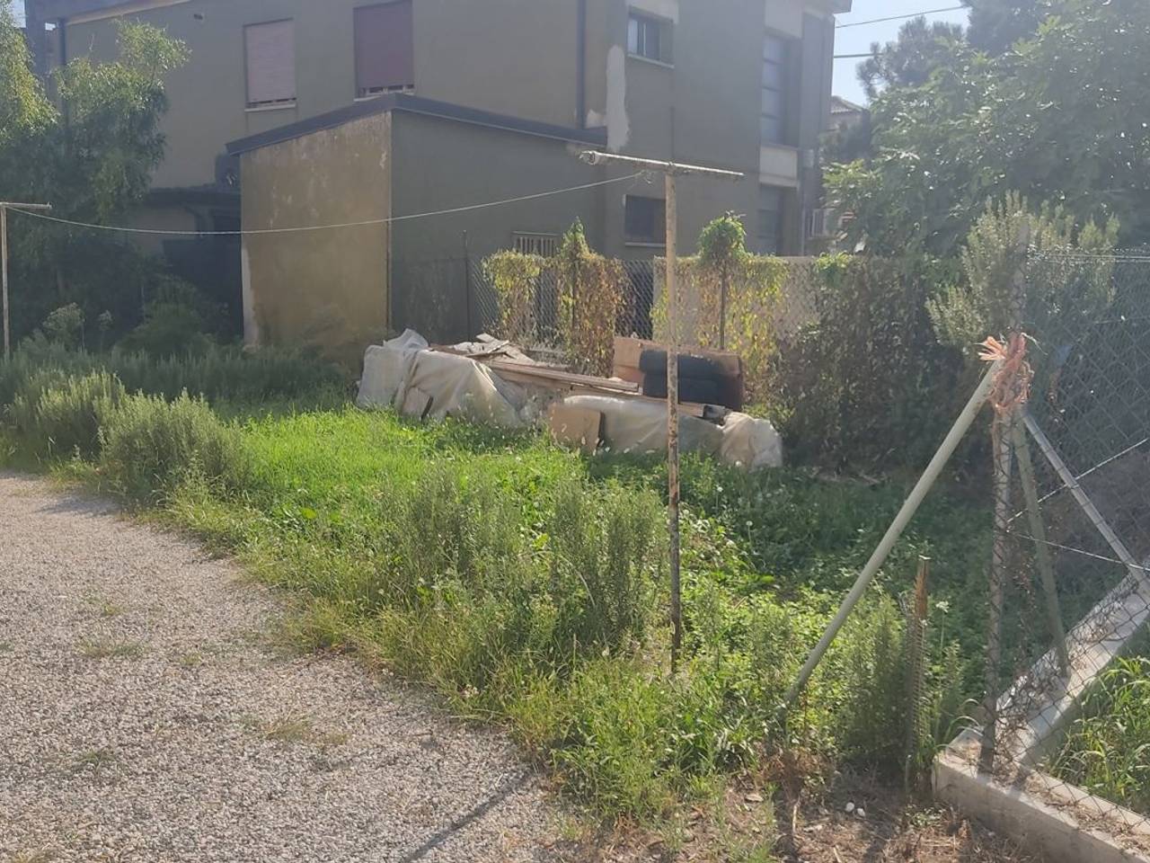 immagine annuncio 2 di 14
