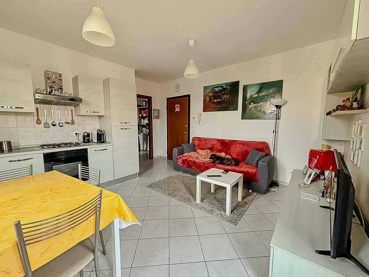 immagine annuncio 6 di 15