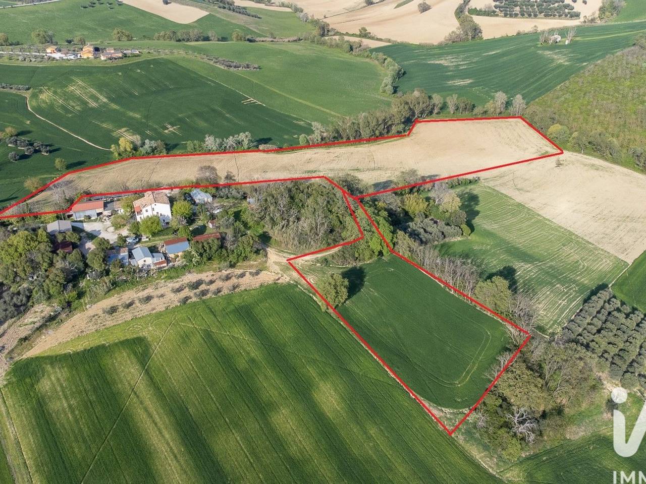 immagine annuncio 1 di 14