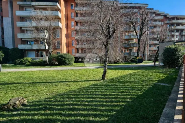 insertion image