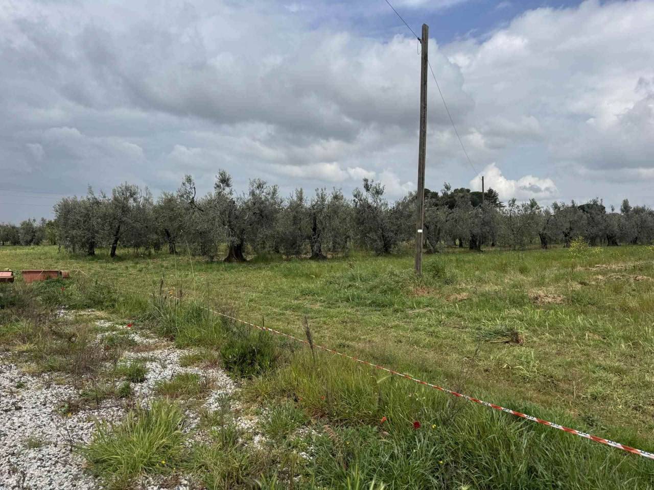 immagine annuncio 11 di 14