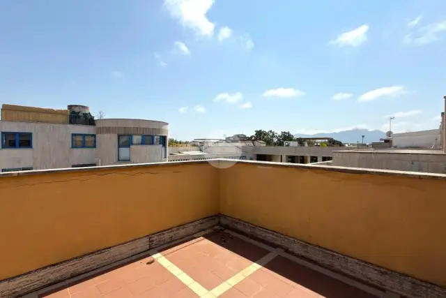 insertion image