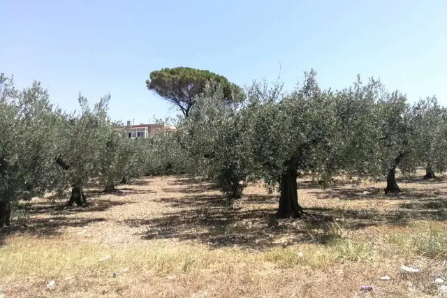 Terreno edificabile in Via Giovanni Gentile Snc, Castelvetrano - Foto 1