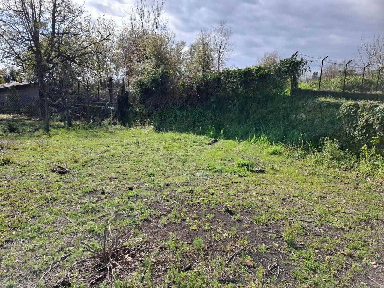 immagine annuncio 2 di 9