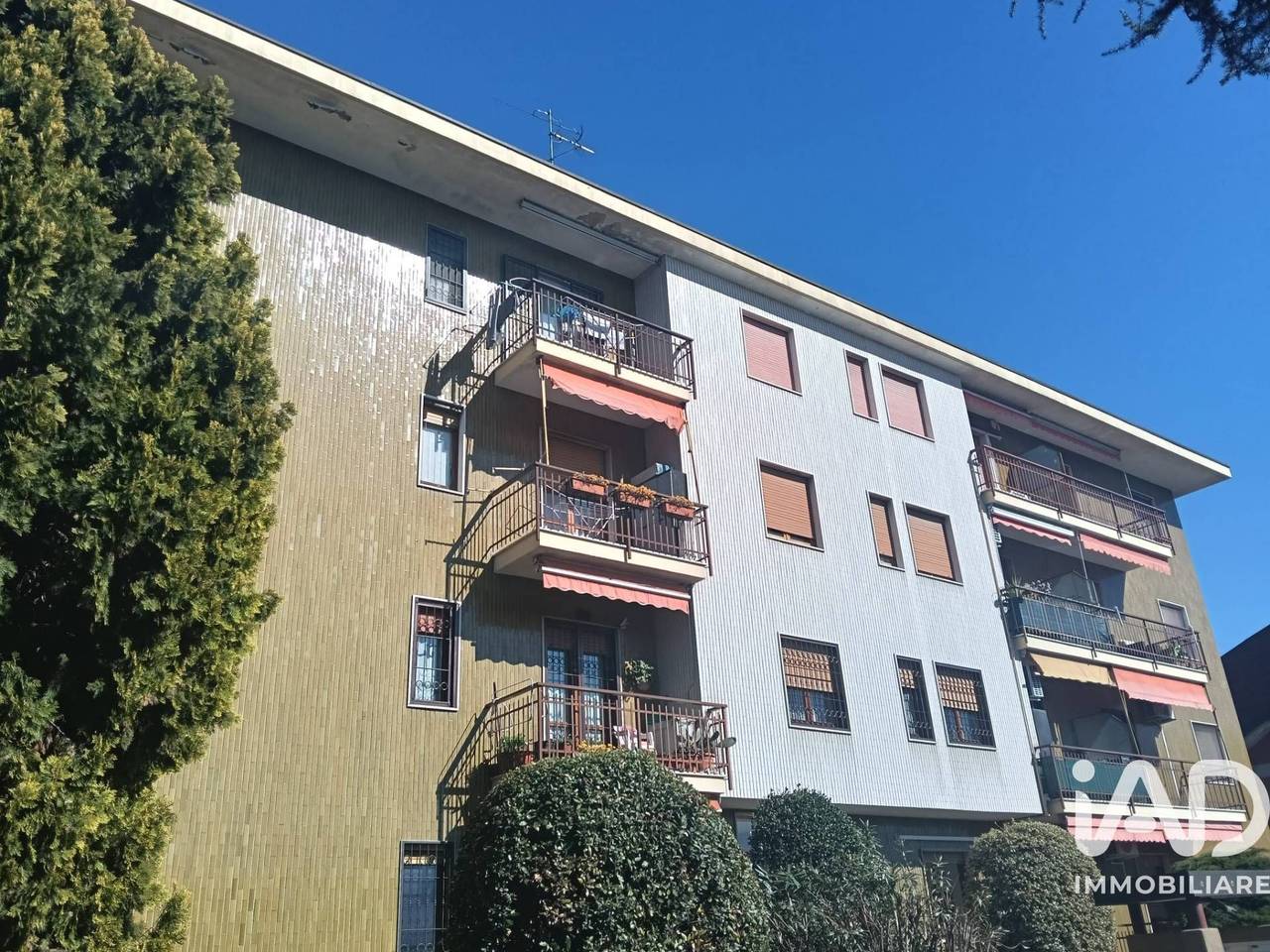 immagine annuncio 4 di 15