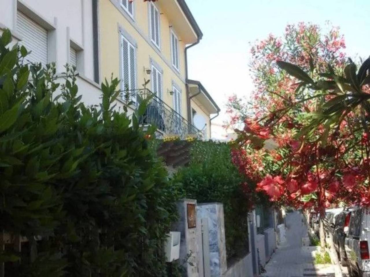 immagine annuncio 3 di 12