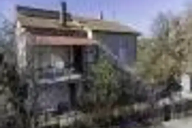 insertion image